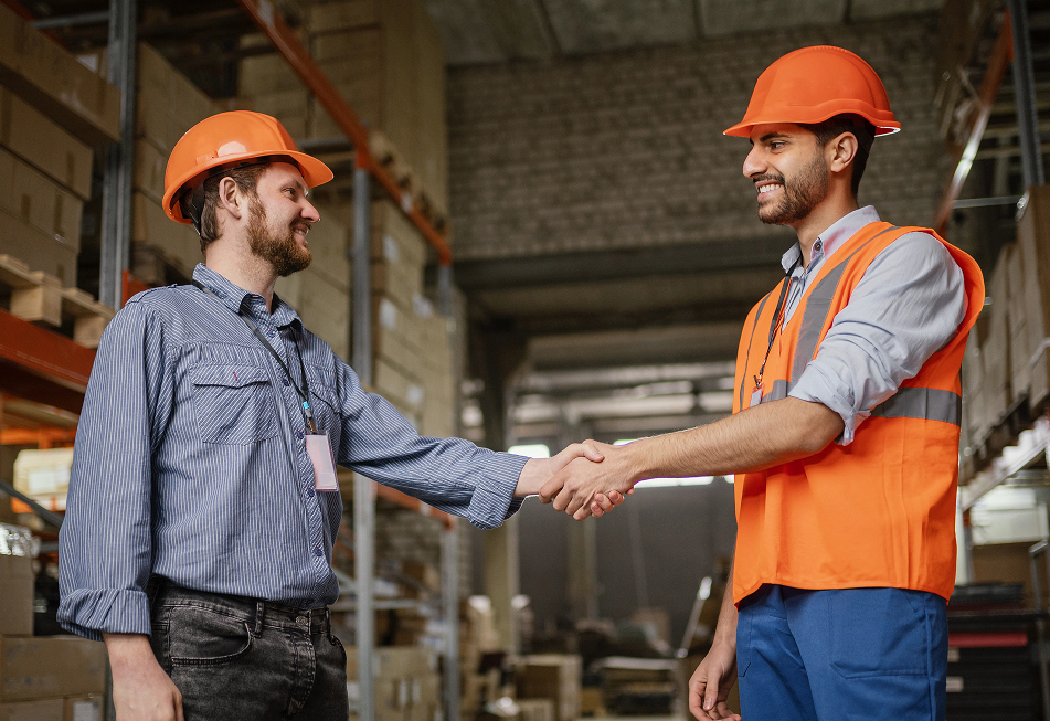 Дистрибуция