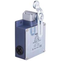 L54-K1-6-MEM124-IP65 Концевой выключатель мгновенного действия (2НО+2НЗ) двунаправленный с металлической консолью и металлическим роликом