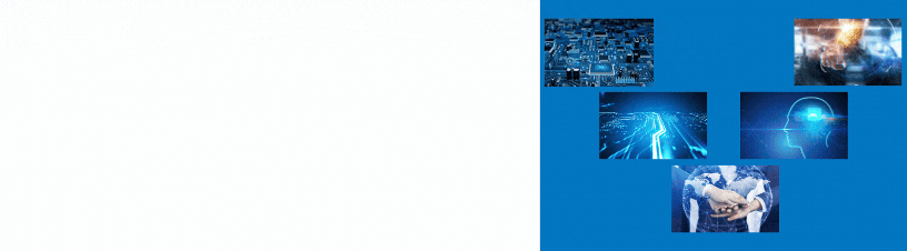 Бренд Dr.FERZ, копия.gif